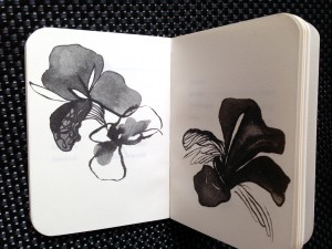 image_4
